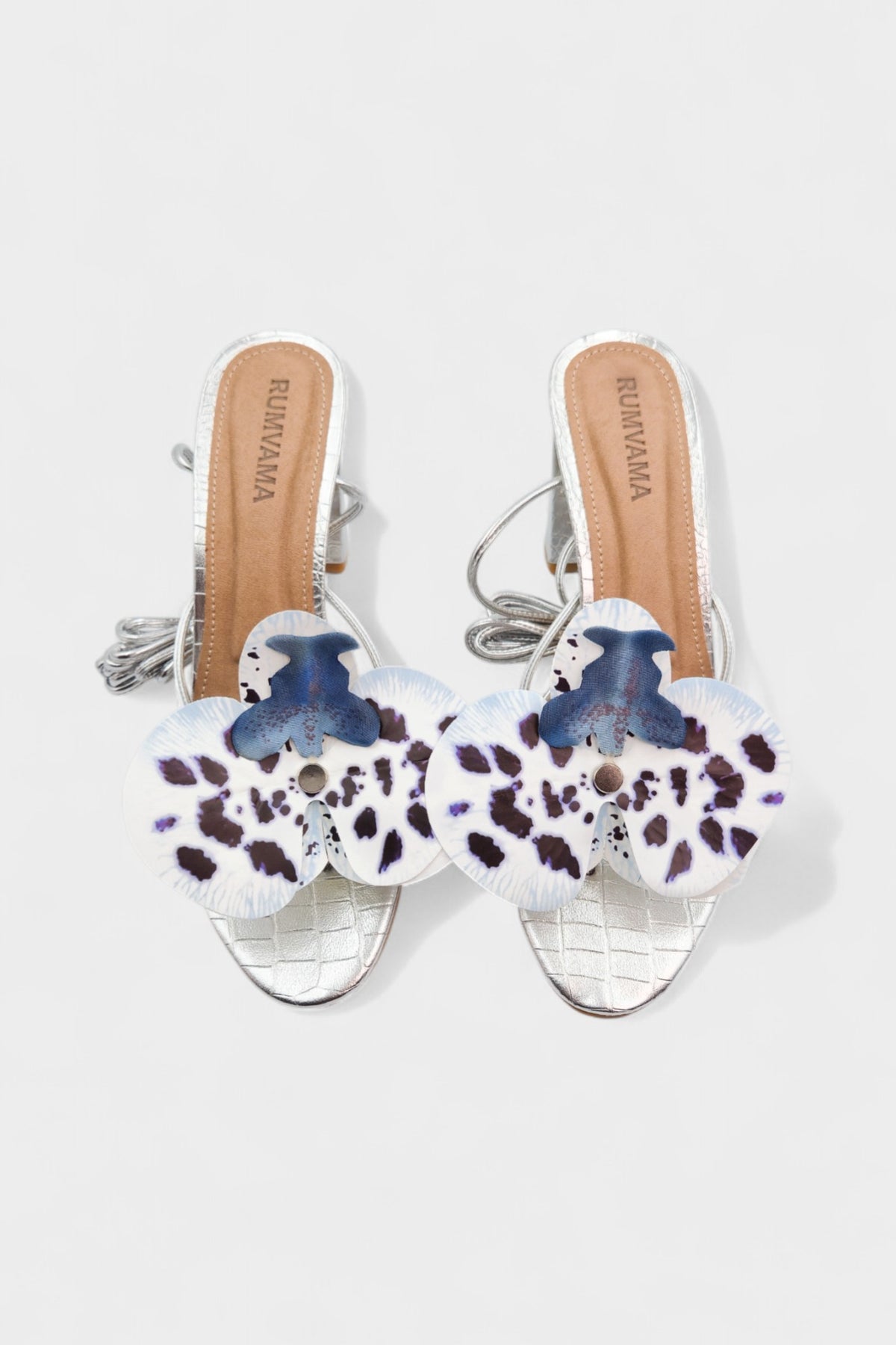 Dalmatian Orchid Silver Heels - Rumvama
