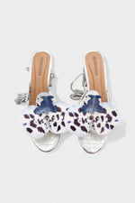 Dalmatian Orchid Silver Heels - Rumvama
